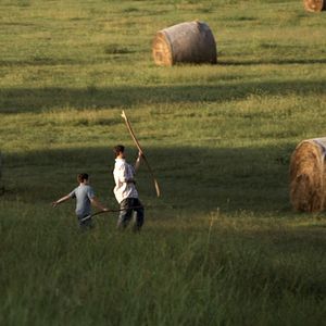 Photo Summertime