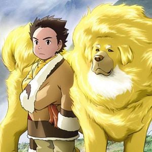 Photo Le Chien du Tibet