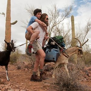 Photo Goats