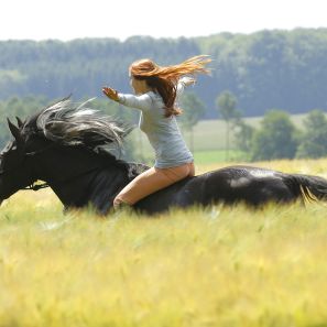Photo Whisper : Libres comme le vent