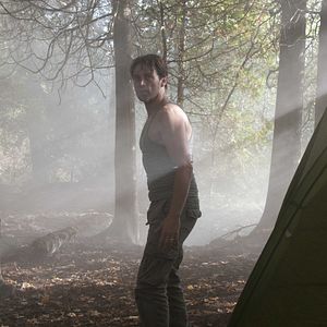 Photo The Forest