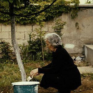 Photo Babamın Sesi