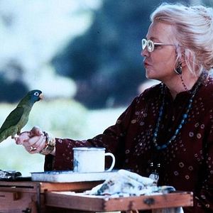 Photo Paulie, le perroquet qui parlait trop