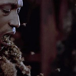 Photo Tony Todd