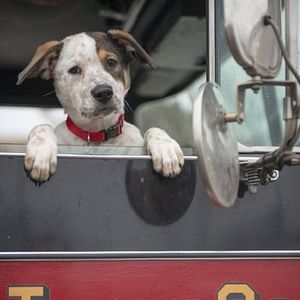 Photo Chicago Fire