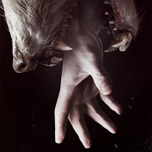 Photo Hemlock Grove