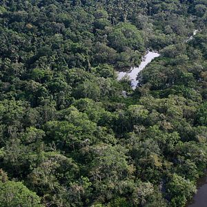 Photo Ecuador une politique au-delà de l'utopie
