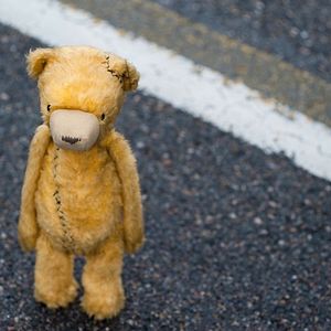 Photo Animals