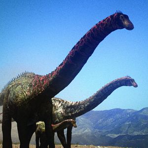 Photo Dinotasia