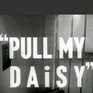 Photo Pull My Daisy