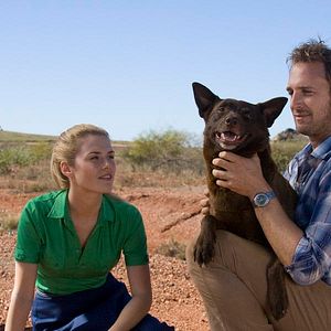 Photo Rachael Taylor