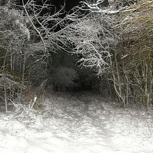 Photo The Frozen