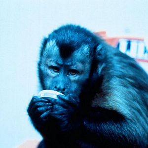 Photo Incidents de parcours