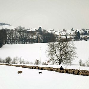 Photo Hiver nomade