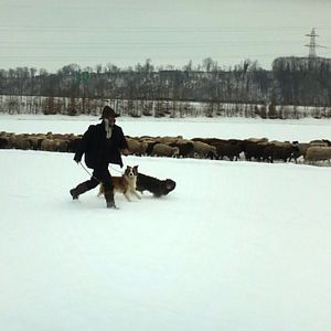 Photo Hiver nomade