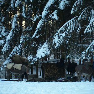 Photo Hiver nomade