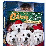 Photo Les Chiots Noël, la relève est arrivée