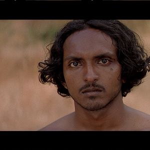 Photo Thusitha Laknath