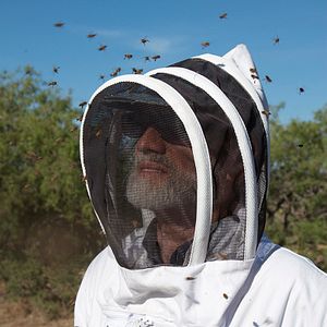 Photo Des Abeilles et des Hommes