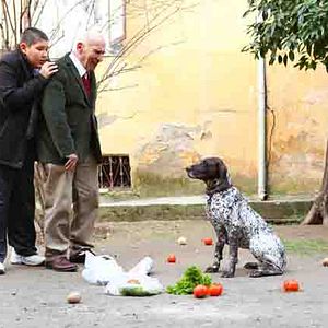 Photo Mutlu Aile Defteri