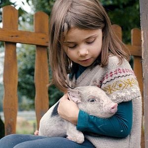 Photo Alabama Monroe