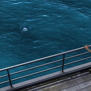 Photo Festin de requin 2, Le recif se rebelle