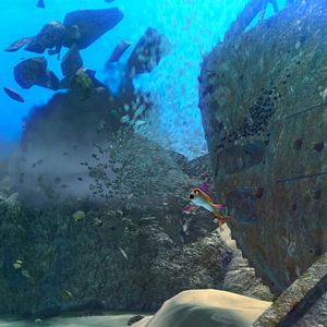 Photo Festin de requin 2, Le recif se rebelle