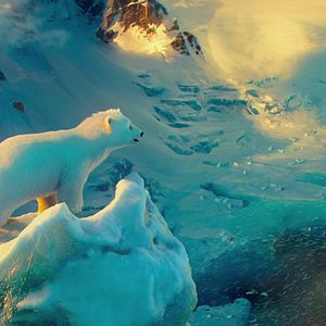 Photo John Stevenson