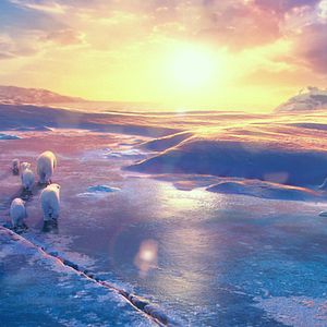 Photo John Stevenson