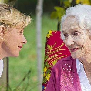 Photo Sous le figuier