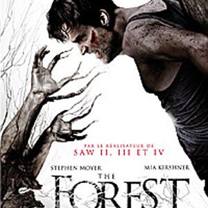 Photo The Forest