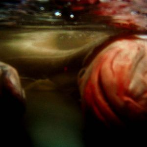 Photo Leviathan