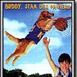 Photo Air Bud - Buddy star des paniers