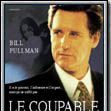 Photo Le Coupable