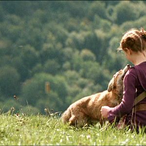 Photo Le renard et l'enfant