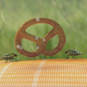 Photo Minuscule - La vallée des fourmis perdues