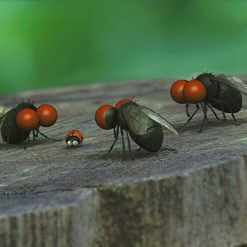 Photo Minuscule - La vallée des fourmis perdues