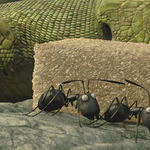 Photo Minuscule - La vallée des fourmis perdues