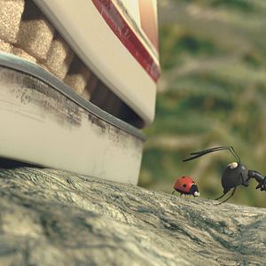 Photo Minuscule - La vallée des fourmis perdues