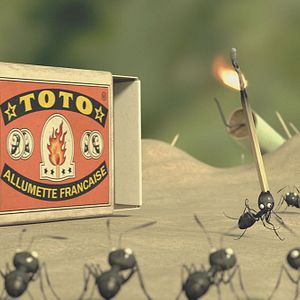 Photo Minuscule - La vallée des fourmis perdues