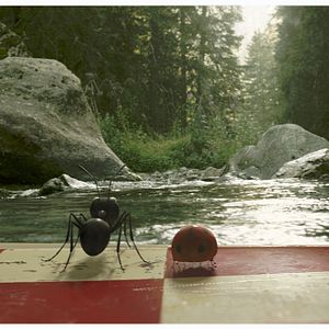 Photo Minuscule - La vallée des fourmis perdues