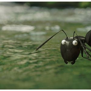 Photo Minuscule - La vallée des fourmis perdues