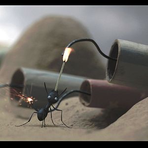 Photo Minuscule - La vallée des fourmis perdues
