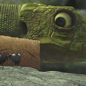 Photo Minuscule - La vallée des fourmis perdues