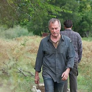 Photo Stephen Collins