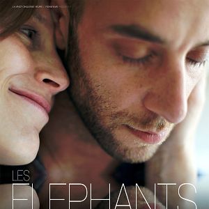 Photo Les éléphants