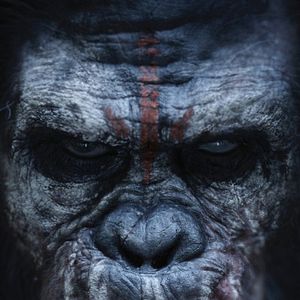 Photo La Planète des singes : l'affrontement