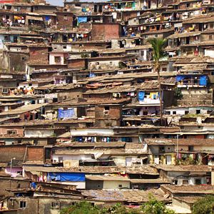 Photo Population Boom