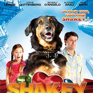 Photo Shakey, un amour de chien