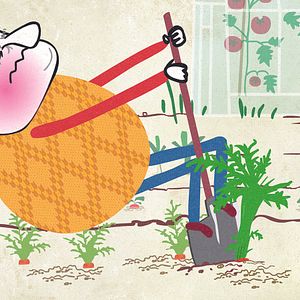 Photo Le Parfum de la carotte